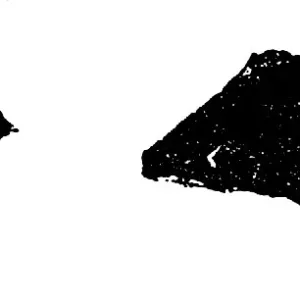北辛文化(B.C.5300～B.C.4400)