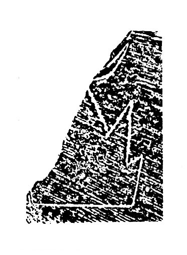 大汶口文化（公元前4300年至公元前2400年）