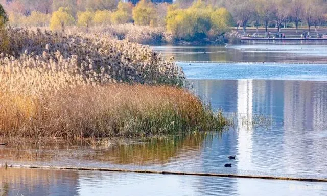 这一站，济南！第五届汉服文化旅游节攻略来了！