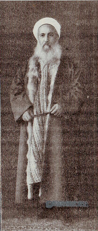 带有狐皮衬里的毛皮长袍的土耳其阿芬迪形象（约 1900 年）