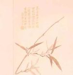 唐菖蒲布 — Shi Yang Jin （十样锦）