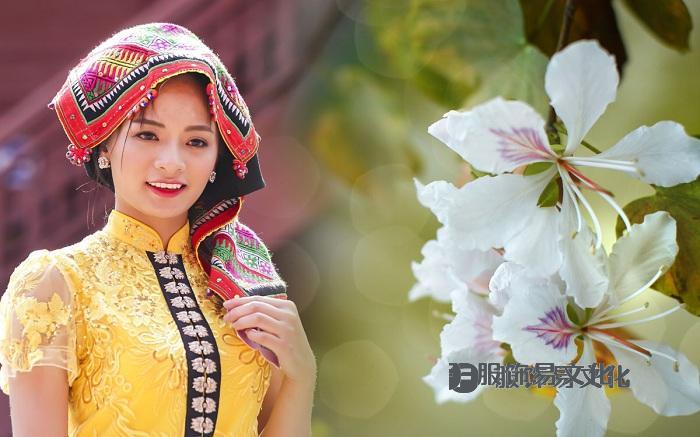 越南最令人印象深刻的十大美丽民族服饰