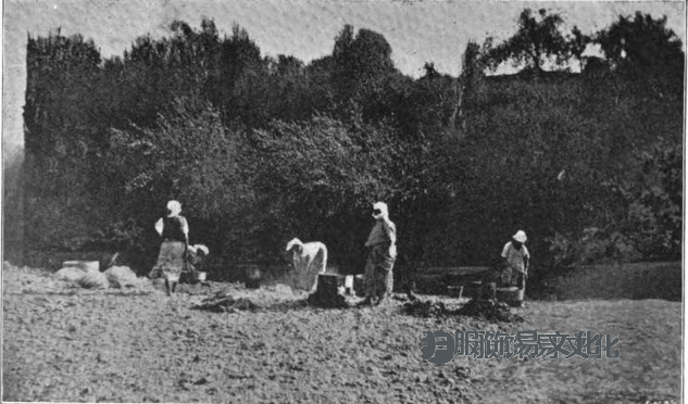 摩尔人和阿拉伯服装,1906 年