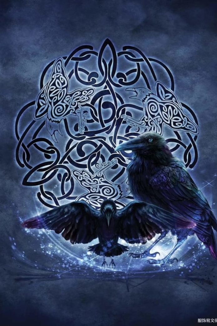 奥丁的乌鸦