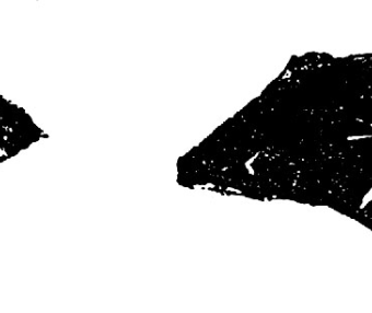 北辛文化(B.C.5300～B.C.4400)