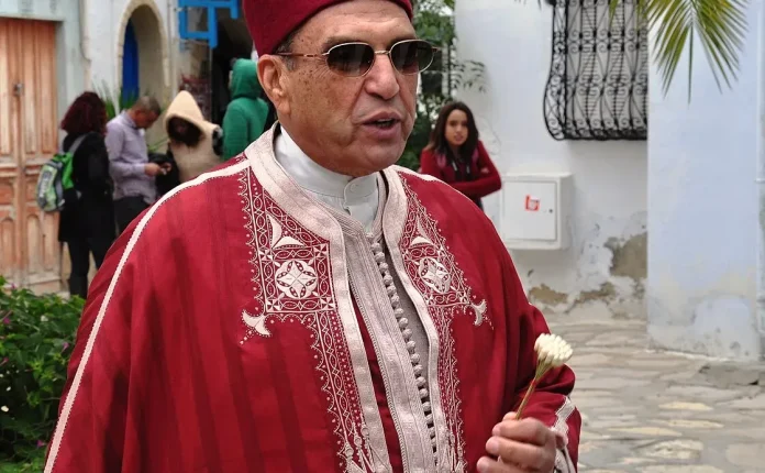 阿尔及利亚传统服饰-切奇亚（chechia）